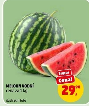 Meloun vodní
