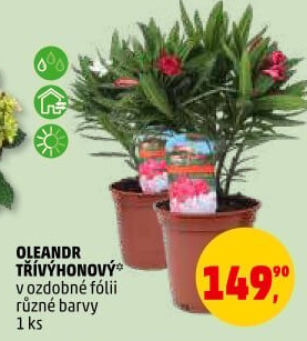 Oleandr