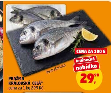 Pražma královská