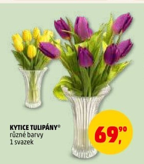 Řezané tulipány