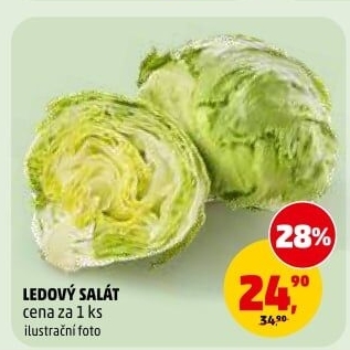 Salát ledový