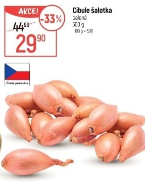 Cibule šalotka
