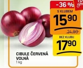 Cibule červená