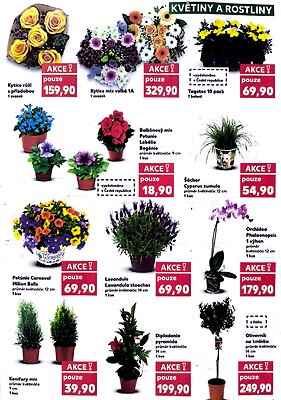 akční leták Kaufland 22.4.2026-28.4.2026