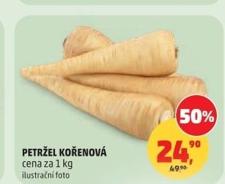 Petržel
