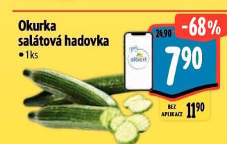 Okurka salátová - hadovka