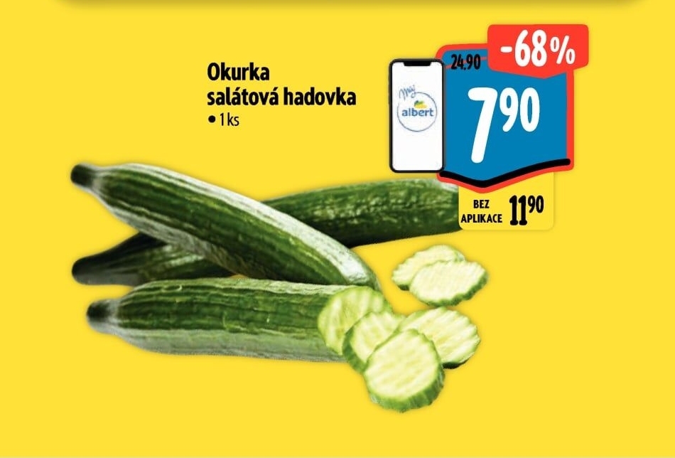 Okurka salátová - hadovka