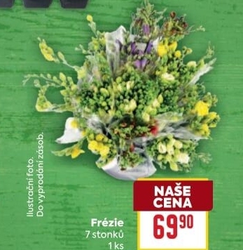 Frézie