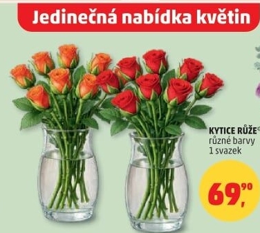 Řezané růže