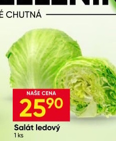 Salát ledový