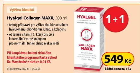 Doplněk stravy Hyalgel Collagen MAXX Silvita