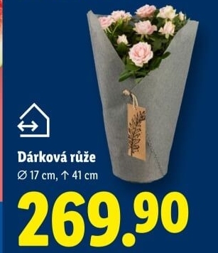 Růže