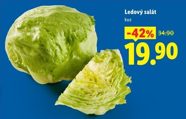 Salát ledový