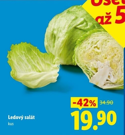 Salát ledový