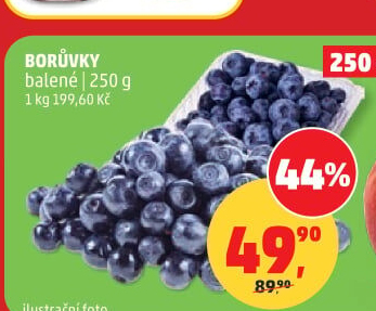 Borůvky