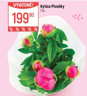 Řezané pivoňky