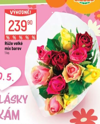 Řezané růže