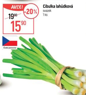Jarní cibule svazek