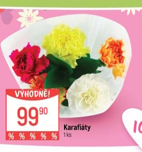 Řezaný karafiát