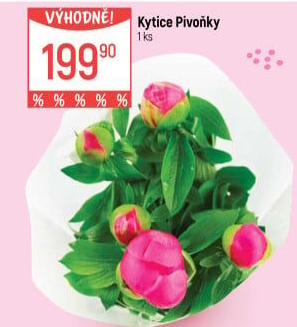 Řezané pivoňky
