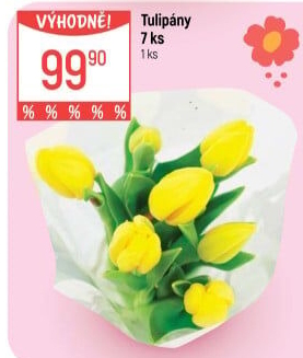 Řezané tulipány