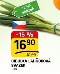Jarní cibule svazek