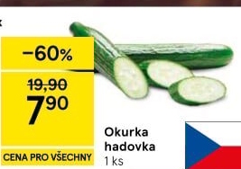 Okurka salátová - hadovka
