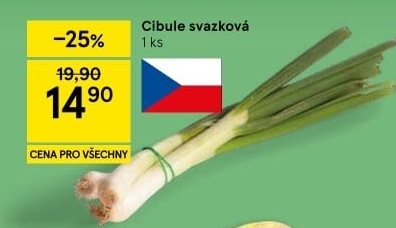 Jarní cibule svazek