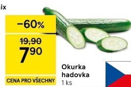 Okurka salátová - hadovka