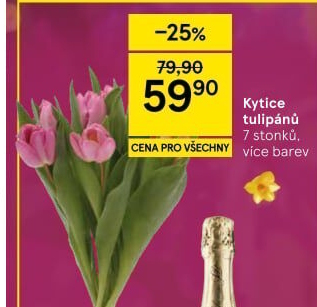 Řezané tulipány