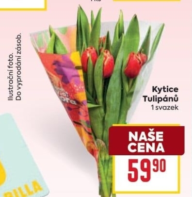 Řezané tulipány Flora Billa Bonvia