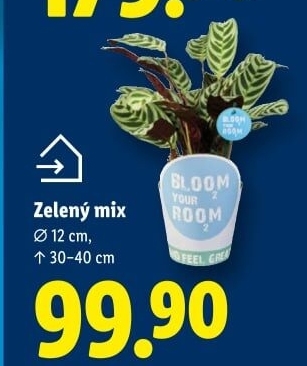 Mix zelených rostlin