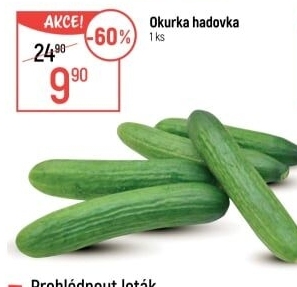 Okurka salátová - hadovka