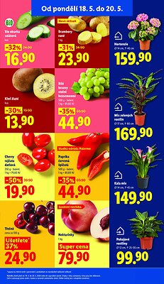 akční leták Lidl 18.5.2026-20.5.2026