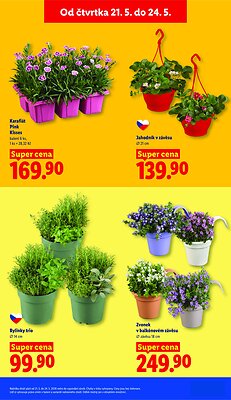 akční leták Lidl 21.5.2026-24.5.2026